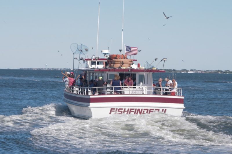 Captree Fishing fishfinder II, captree fishing boat